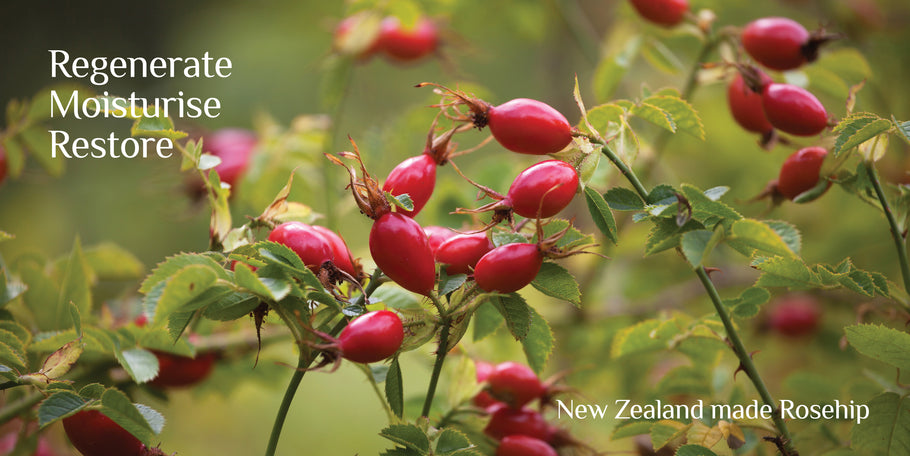 19 Ways you can benefit from Organic Rosehip Oil